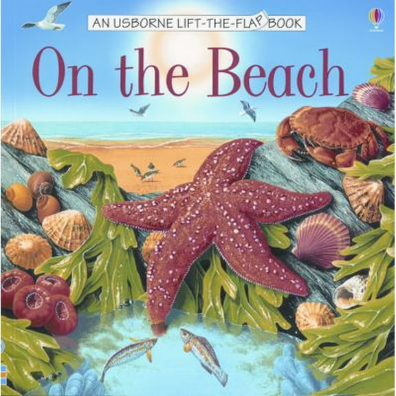 Pre-Owned On the Beach (Usborne Lift-the-Flap Book) (Paperback) 079450213X 9780794502133