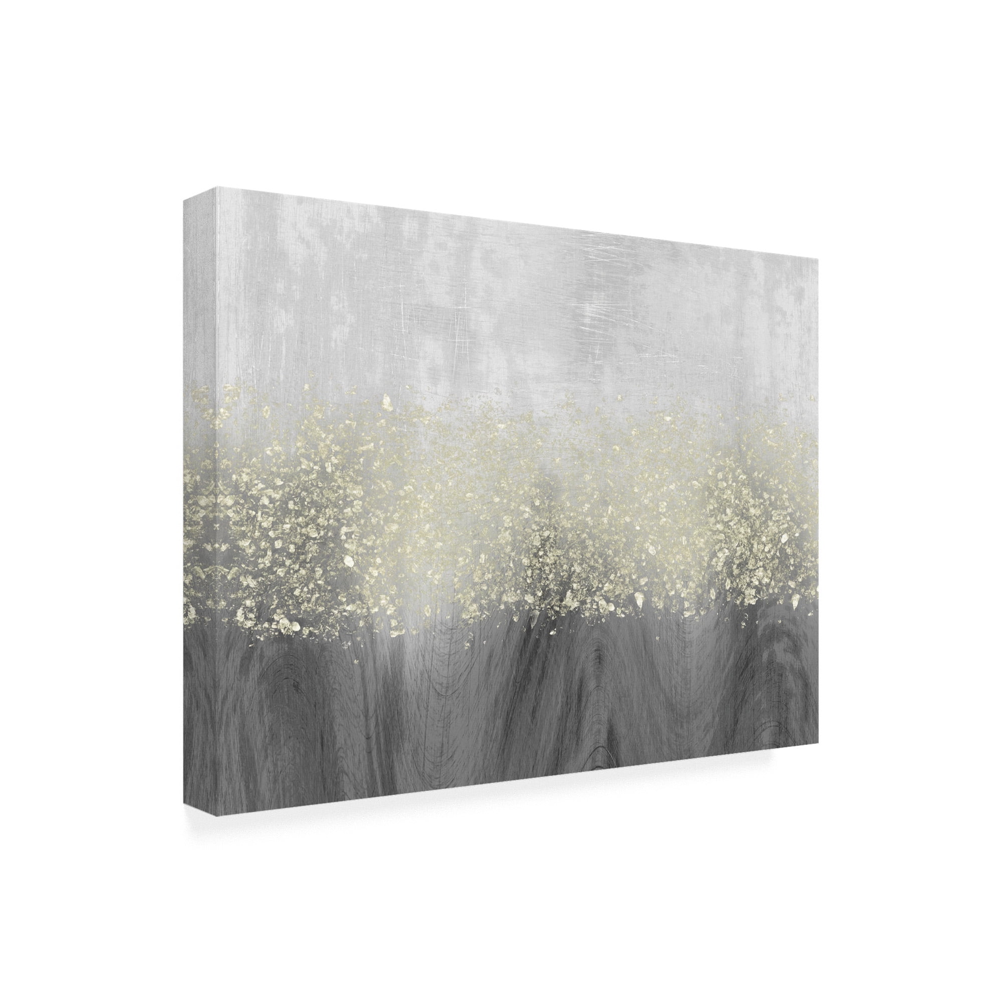 Trademark Fine Art 'Glitter Swirl II' Canvas Art by Jennifer Goldberger
