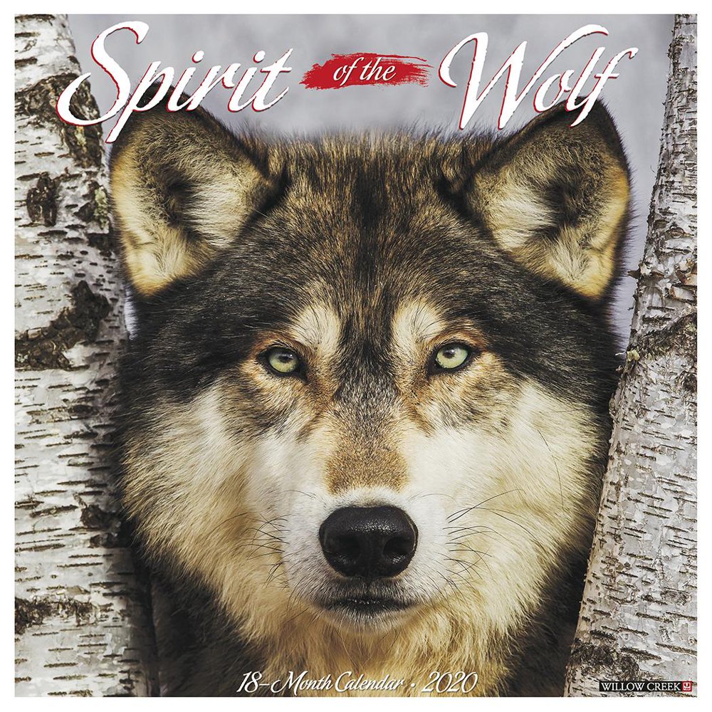 Spirit of the Wolf 2020 Wall Calendar (Other)