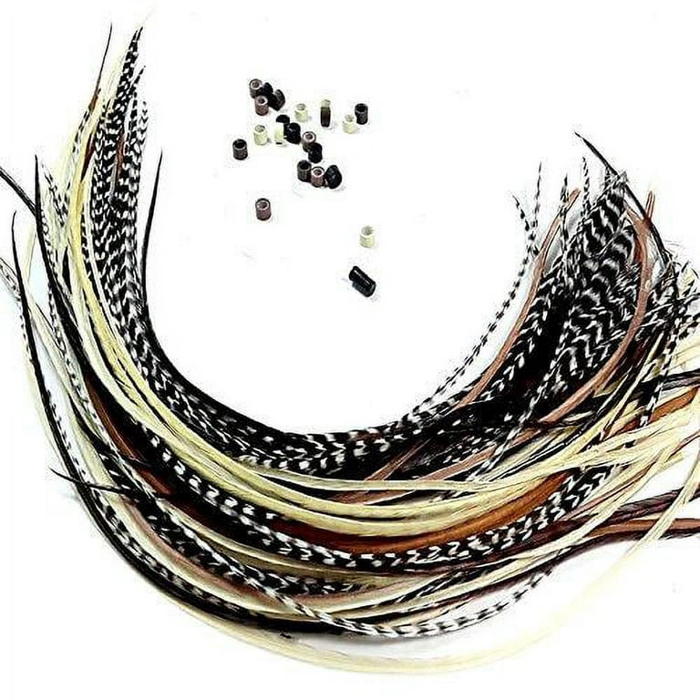 Feather Hair Extensions, 100% Real Rooster Feathers, 20 Long Thin Loose  Individual Feathers Plus 20 Beads and Loop Tool Kit, By Sexy Sparkles