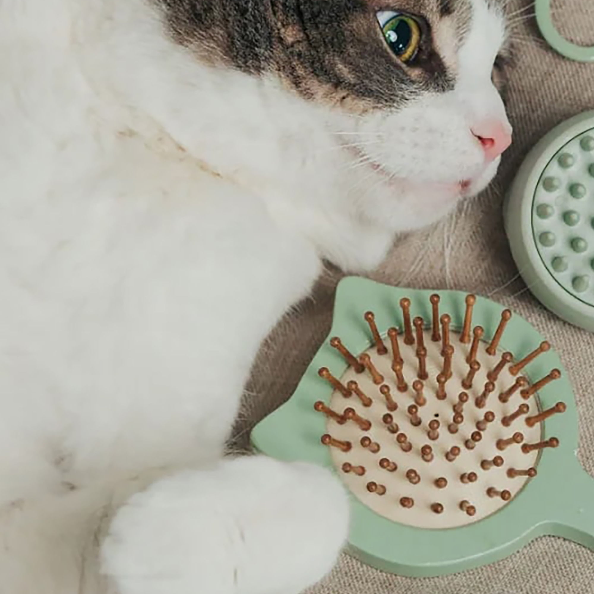 Dexypaws: Purrfect Massage Cat Brush - Sage Green, Cat Shaped Comb Head, Pet Care, Grooming-Relaxation Tool, Wooden Handle, Coat Health, Soft Bristle