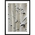 thumbnail image 2 of Art.com Birch Trees in a Row, Close-Up of Trunks Photo, Black Frame Wall Art, 21" x 29", 2 of 5