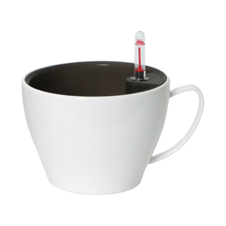 Algreen Modena Cappuccino Planter, 7-In Cup Planter, Glossy White Algreen Modena Cappuccino Planter, 7-In Cup Planter, Glossy White