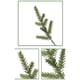 thumbnail image 4 of Matsuzay 60x Verde Durabilidad de larga duración Elegantes plantas verdes falsas con púas de pino Plástico fácil de cuidar Kits de decoración para fiestas, 4 of 6