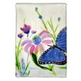 thumbnail image 1 of Betsy Drake KT349 Blue Morpho Kitchen Towel, 1 of 1