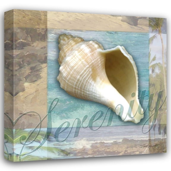 Todd Williams 20x20 Gallery Wrapped Canvas Wall Art Titled - Serenity Shell