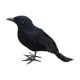 thumbnail image 4 of Cuervos con plumas negras de Halloween, decoración de cuervos artificiales aterradores hechos a mano de aspecto realista para fiestas, eventos, hogar, Estilo A, 4 of 8