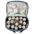 thumbnail image 3 of Jumbo Leakproof Cooler Bag (Pack of 10), 3 of 3