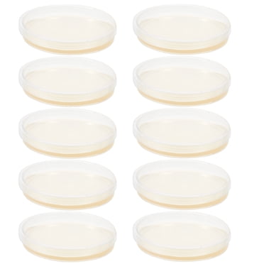 Milisten 10 Pcs Assiettes en Agar Portables Préchargées Plats Pétri pour Projets Scientifiques