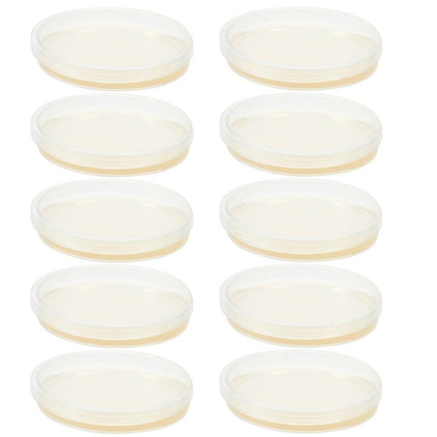 GOOHOCHY 10 placas de agar portátiles pre-vertidas, placas de Petri para proyectos científicos.