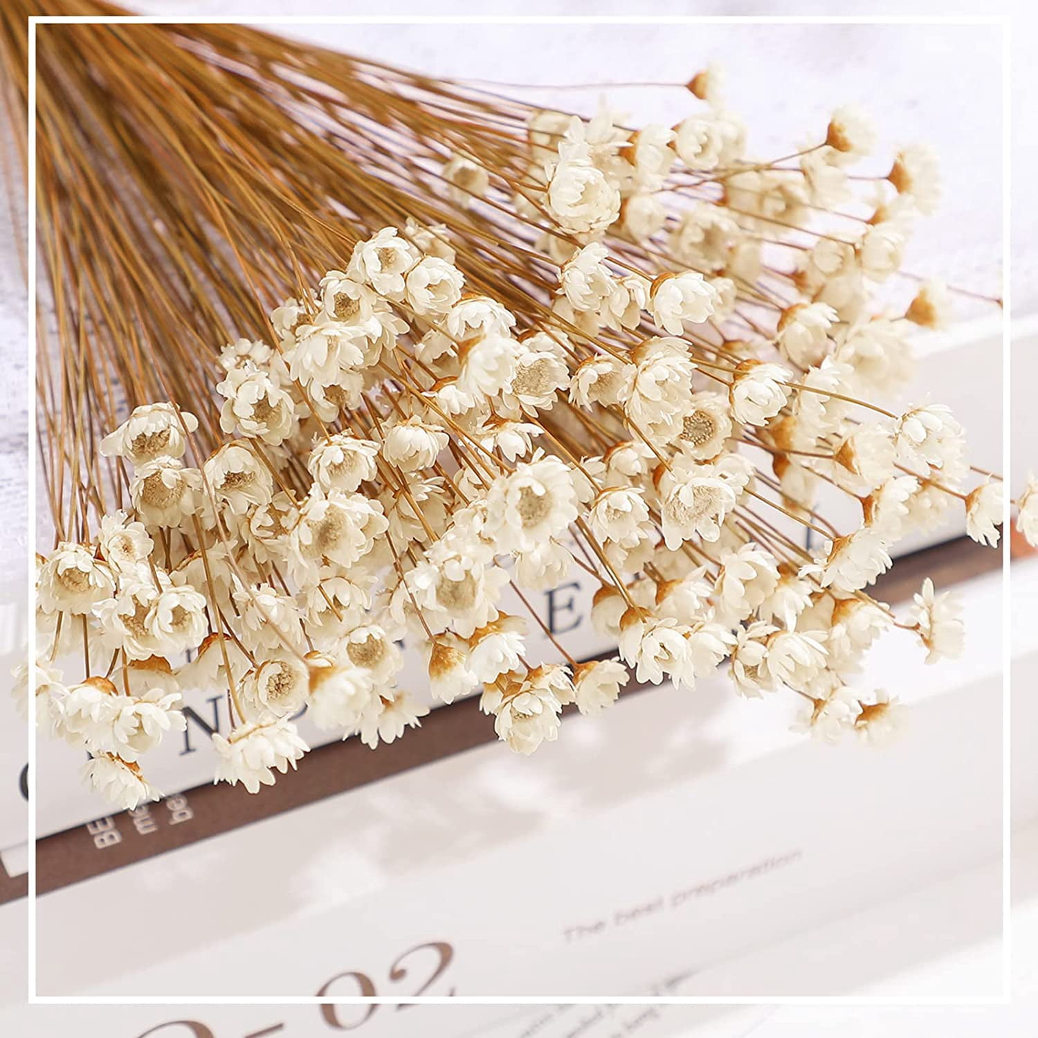 500 Pcs Natural Dried Flowers Mini Chamomile Star Daisy, White Floral Bouquet For Wedding Vase Arrangements Decor