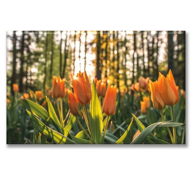 Cuadro Canva Listo Para Colgar Tipo Galería Tulipanes 60X90 cm