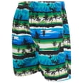 thumbnail image 2 of iBerryNY Mens Swimming Trunks Beach Shorts, Mesh Lining, 2 Pairs, Palm Sunset/Fruits, X-Large, 2 of 5