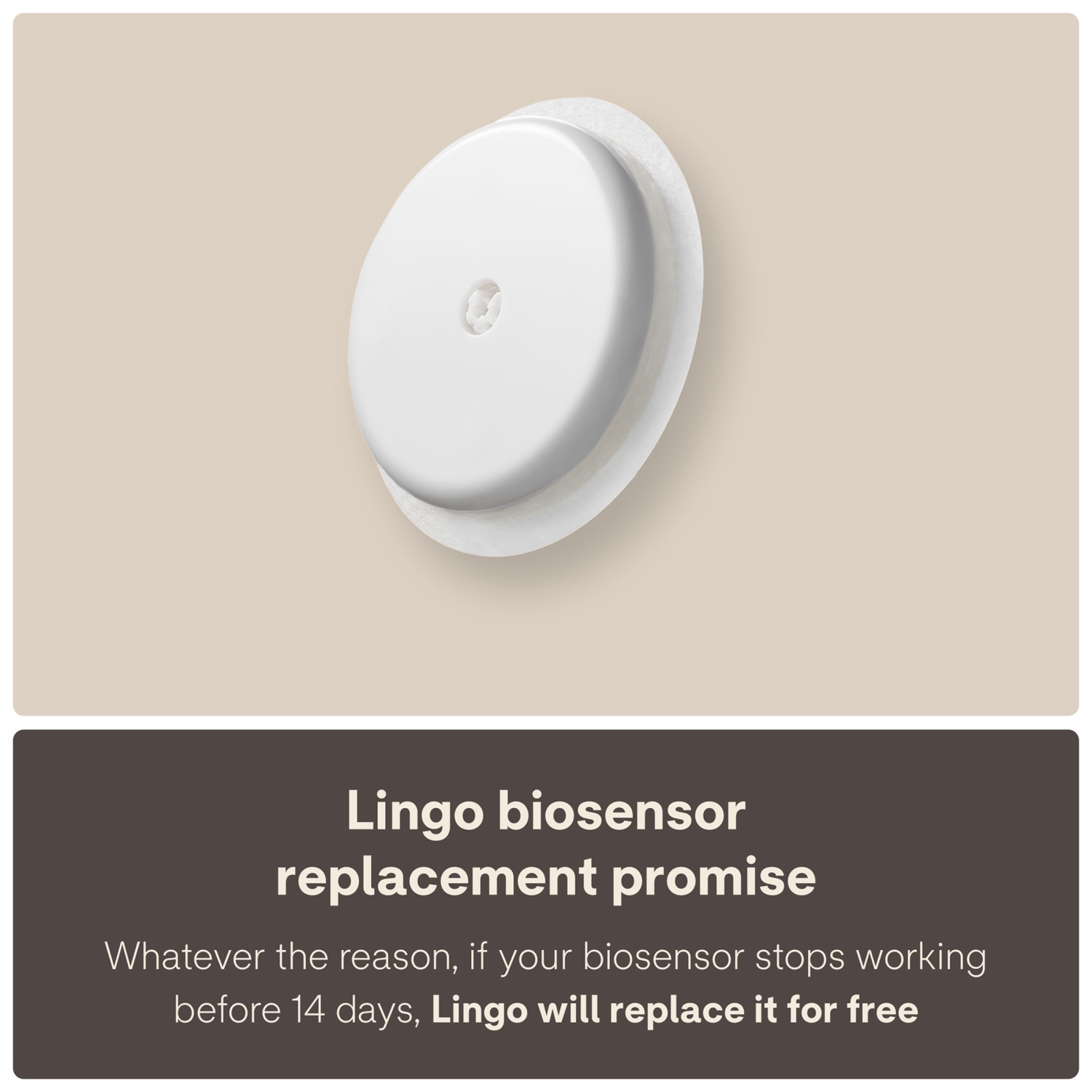Lingo Continuous Glucose Monitor by Abbott photo 8