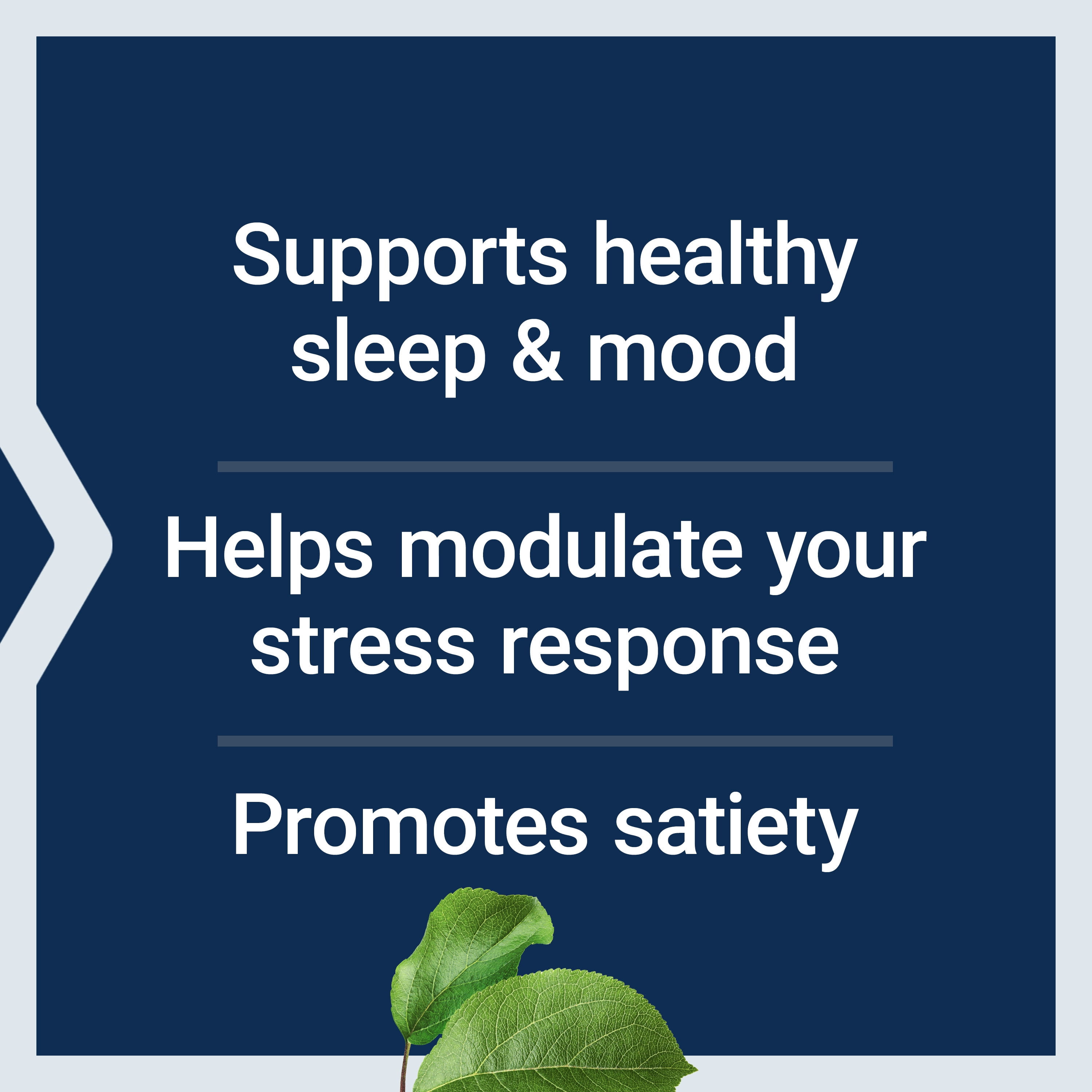 Life Extension L-Tryptophan 500 mg â L-Tryptophan Supplement for Healthy Sleep and Stress Response Support â Gluten-Free, Non-GMO, Vegetarian â 90 Capsules