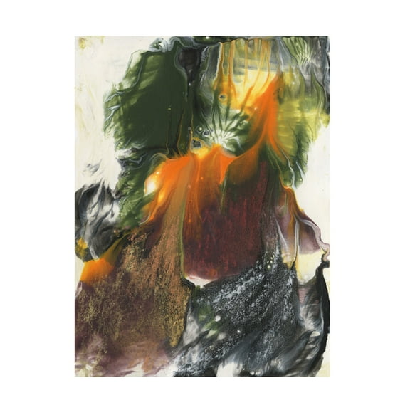 Trademark Fine Art Ferdos Maleki  Orange Green I Canvas Wall Art