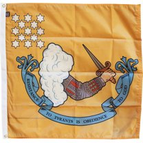 Resistance to Tyrants (Gostelowe) - 3'X3' Nylon Flag