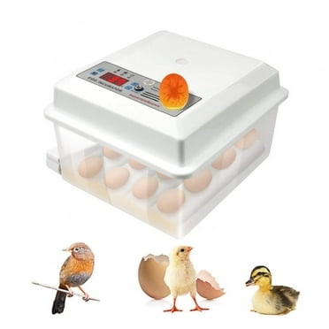 Manna Pro Harris Farms Nurture Right Egg Incubator, 360 Degree View ...