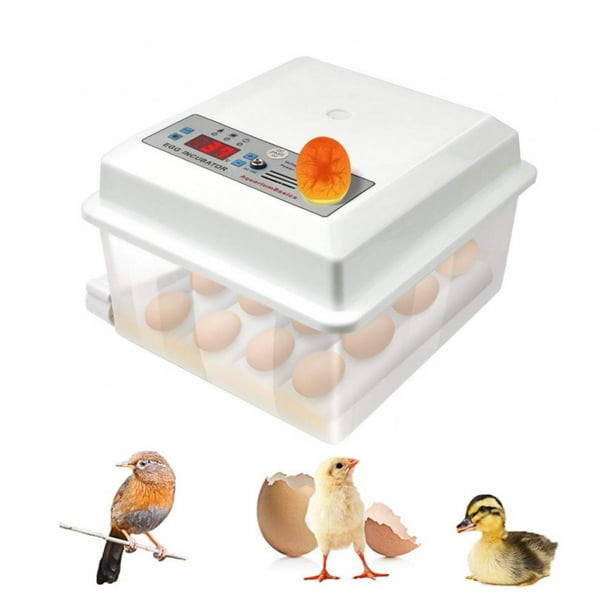 Automatic Intelligent Incubator, 16 Egg And Poultry Incubators, Candle Light Machine, Automatic