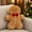 Man 02, variant on Gingerbread Man Christmas Throw Pillow, Plush Xmas Gingerbread Shaped Pillow Decor, 14.5" Decorative Throw Pillow for Living Room Xmas Christmas Gifts