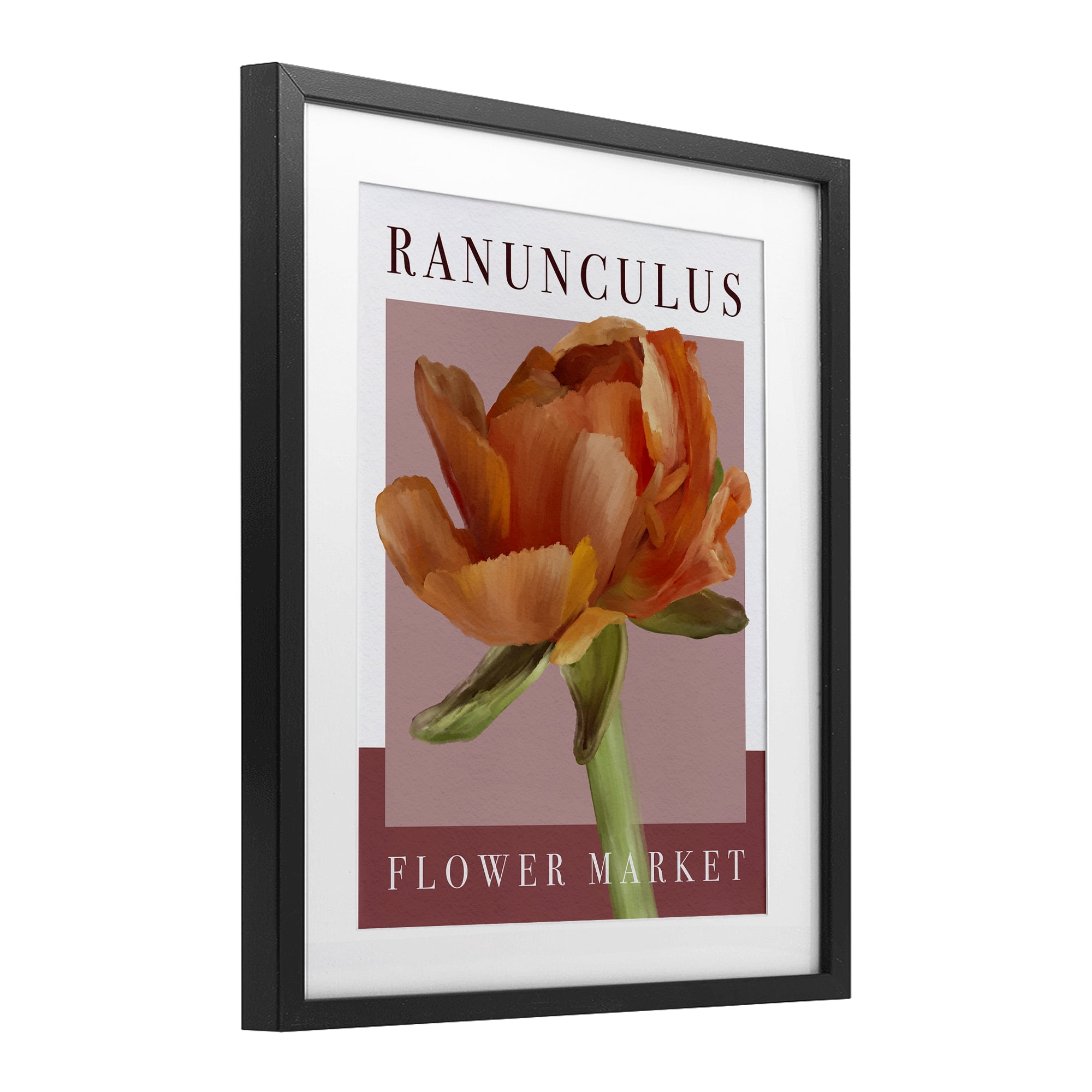 Stupell Industries Ranunculus Flower Market Black Framed Print Under Glass, design by Jennifer Stith