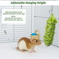 thumbnail image 7 of 2Pcs Rat Enrichment Toys Stainless Steel Rat Foraging Toy Bird Cage Food Holder for Fruit Vegetable Holder Fancy Mice Cage Accessories Puzzle Toy Hanging Rodent Toy Slow Feeder Parakeet Foraging, 7 of 7