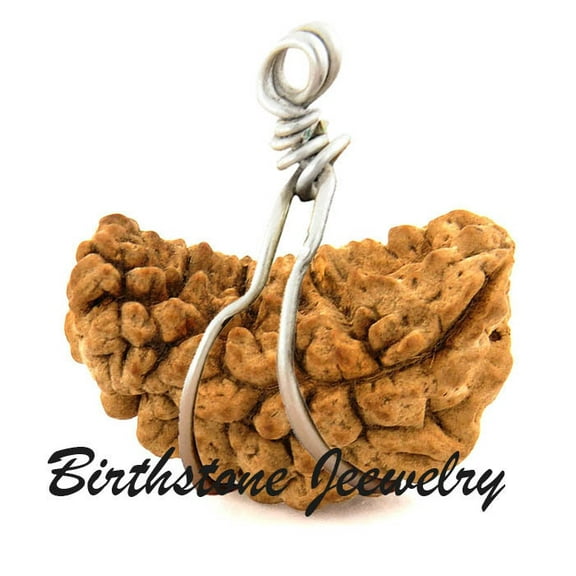 One Mukhi Kajudana Rudraksha 1 Mukhi Half Moon Rudraksha Pendant One Face Rudraksha