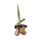 thumbnail image 1 of Decoración floral de vidrio hecha a mano con tallo, miniplantas florales sopladas a mano, figura decorativa para el hogar, sala de estar, oficina, mesa, florero., 1 of 8