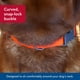 thumbnail image 4 of Collar para perros Coastal Water & Woods, ajustable, de seguridad, color naranja, 38-51 cm, 4 of 7