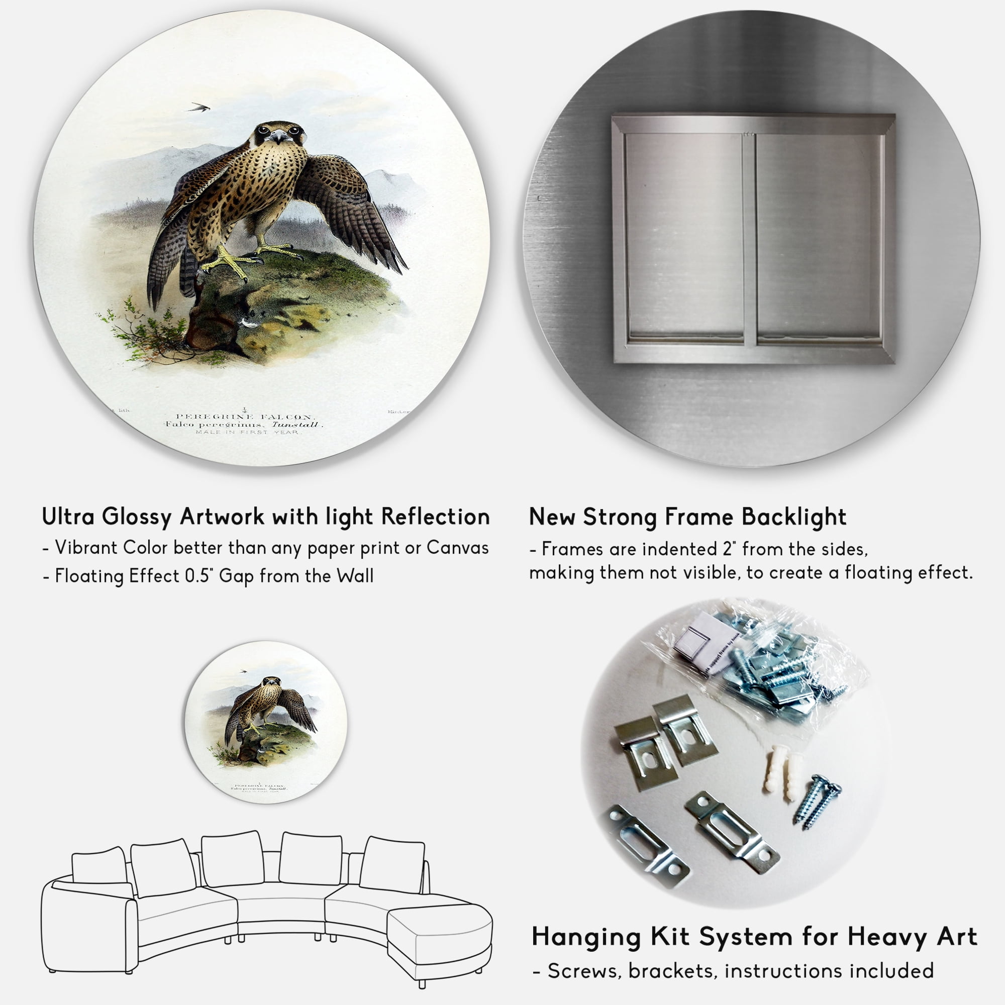 Designart 'Ancient Bird Life VIII' Traditional Circle Metal Wall Art 11x11 - Disc of 11