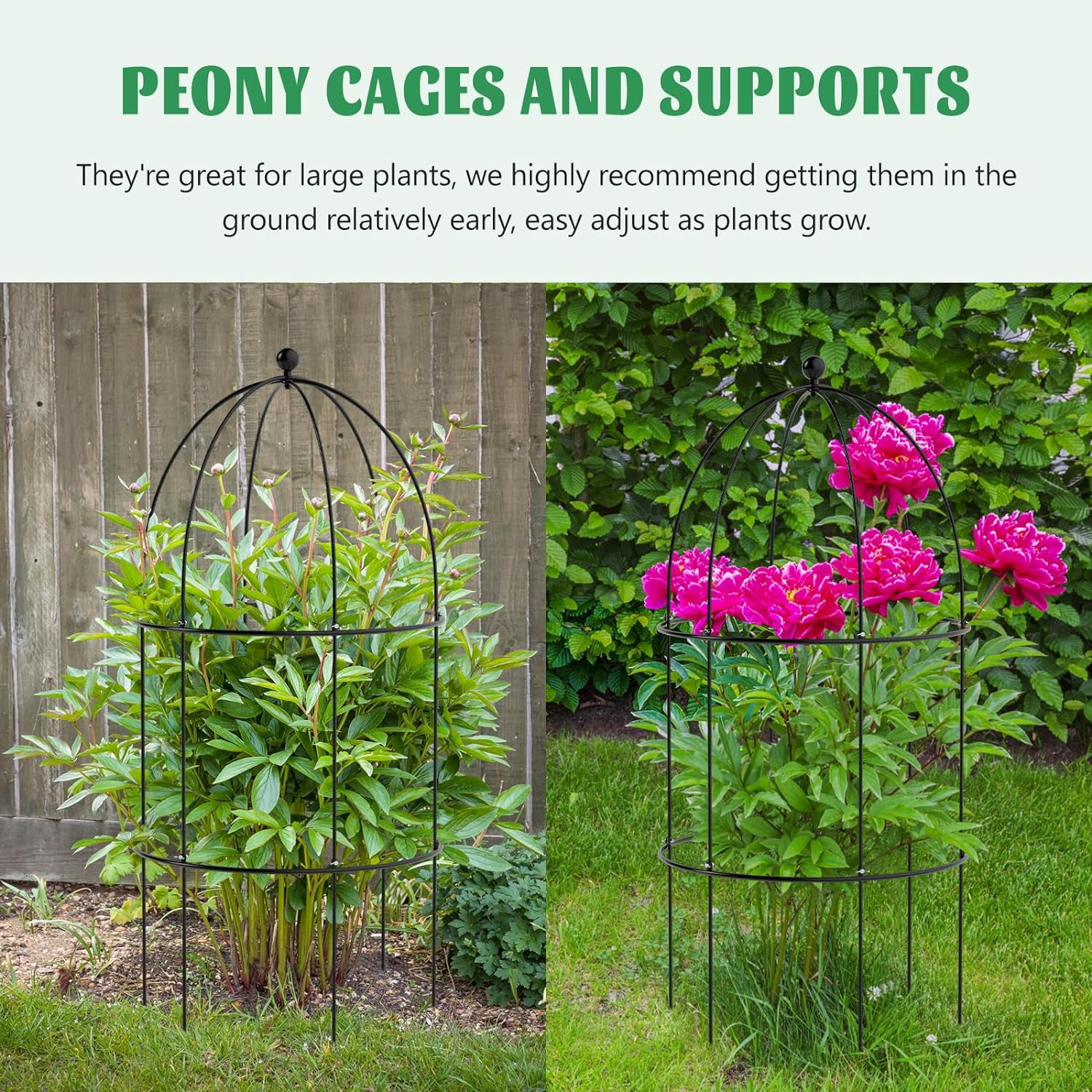 Lilypelle Garden Trellis for Climbing Plants Outdoor, Tomato Cage Metal Obelisk Trellis Plant Trellis for Potted Plant, Flower Trellises Plant Cages Peony Cages Plant Support (Black, 3 Pack)