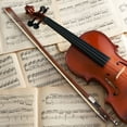 thumbnail image 4 of Minkissy Violin Bow Light Weight Bow Coffee for Beginner 1Pcs, 4 of 8