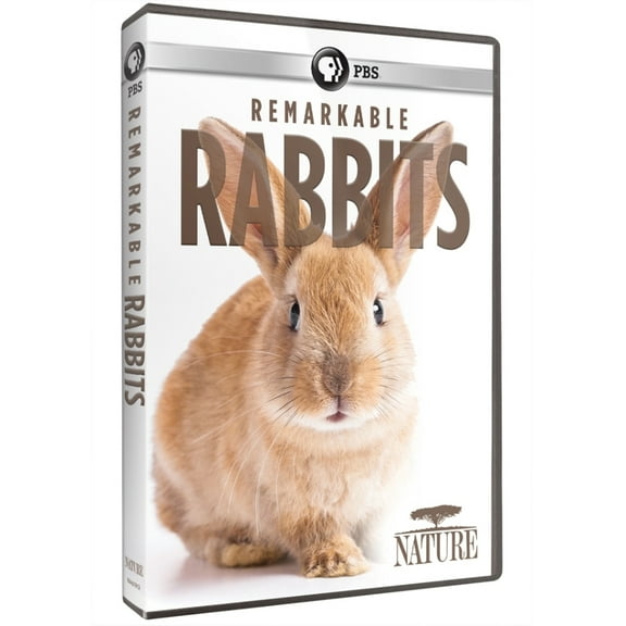 NATURE: Remarkable Rabbits