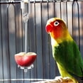 View all media