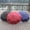 Red, variant on LQCrafK 62" Extra Oversize Large Compact Golf Umbrella Double Canopy Vented Windproof Canopy Rustproof Folding Compact Rain Umbrellas