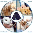 thumbnail image 4 of Shark Soft Cat Dog Recovery Collar Adjustable Cat Cone Wound Healing Protective After Surgery for Dogs Cone Collar, 4 of 7