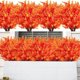 thumbnail image 5 of Planta Artificial de Hoja de Eucalipto Ganfancp Otoño 7 Horquillas Eucalypti 10 Pc, 5 of 7