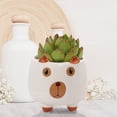 thumbnail image 3 of Flowerpots with Dish Ceramic, Animal Pot Ceramic Succulent Plant Pot Cactus Potted Planting Bonsai Pots Set, Flower Pots, 3 of 5