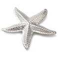 thumbnail image 2 of 10pcs Anti-304 Stainless Steel Pendants Starfish Charm Stainless Steel Color 41x45x3mm Hole: 1mm, 2 of 3