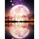 thumbnail image 1 of Evershine 5D DIY Diamond Painting Moon Full Square Diamond Embroidery Landscape Cross Stitch Mosaic Sale Home DecorationFull Square 40X50cm Gao Jinjia LED, 1 of 2