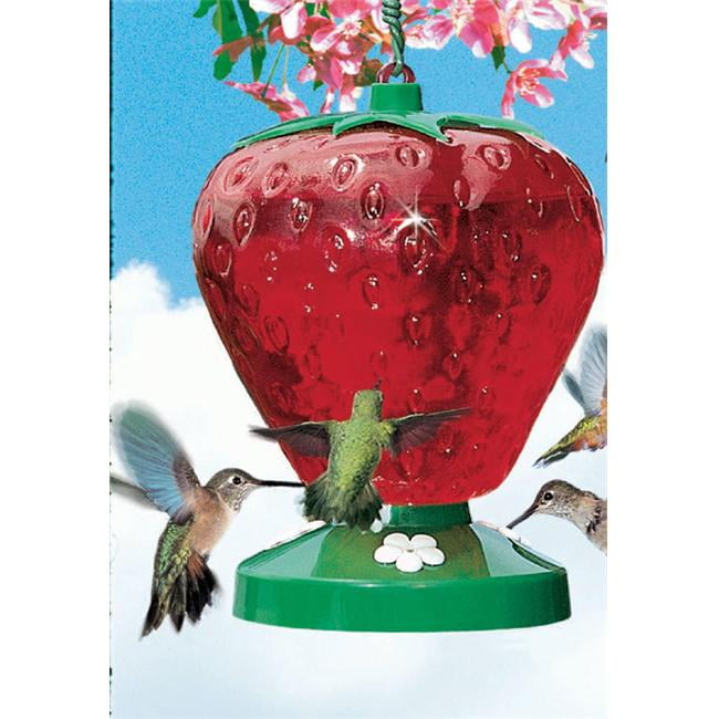 Perky Pet Strawberry Hummingbird Feeder 48 oz
