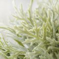 thumbnail image 4 of Injueey Adorno de hoja de planta artificial, tela de seda, hojas, decoración verde, fiesta de boda, planta falsa Plantas Artificiales Injueey HA6909-00B, 4 of 6