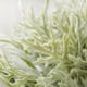 thumbnail image 4 of Injueey Adorno de hoja de planta artificial, tela de seda, hojas, decoración verde, fiesta de boda, planta falsa Plantas Artificiales Injueey HA6909-00B, 4 of 6