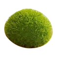 thumbnail image 2 of Roca de artificial Piedra decorativa cubierta de verde Bola de miniatura para bricolaje Artesanía Terrario Florero Relleno Macarena roca de musgo, 2 of 8