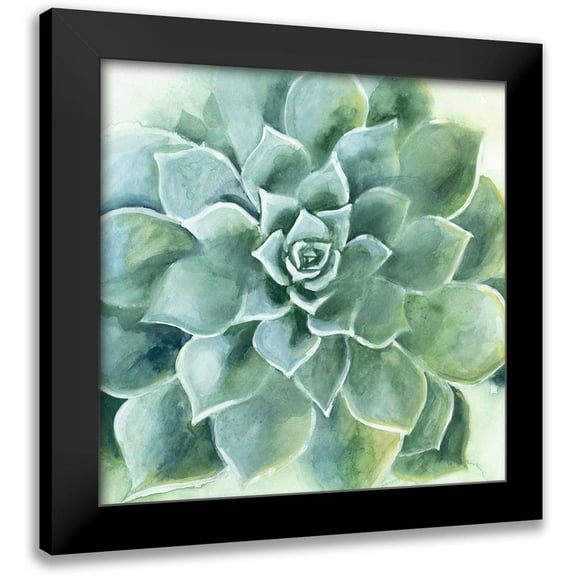 Borges, Victoria 12x12 Black Modern Framed Museum Art Print Titled - Verdant Succulent II