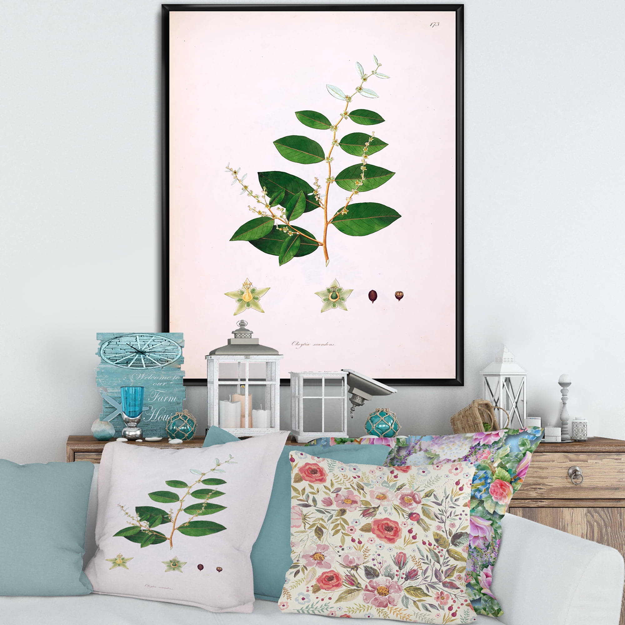 Designart 'Ancient Plant Life XVI' Farmhouse Framed Canvas Wall Art Print