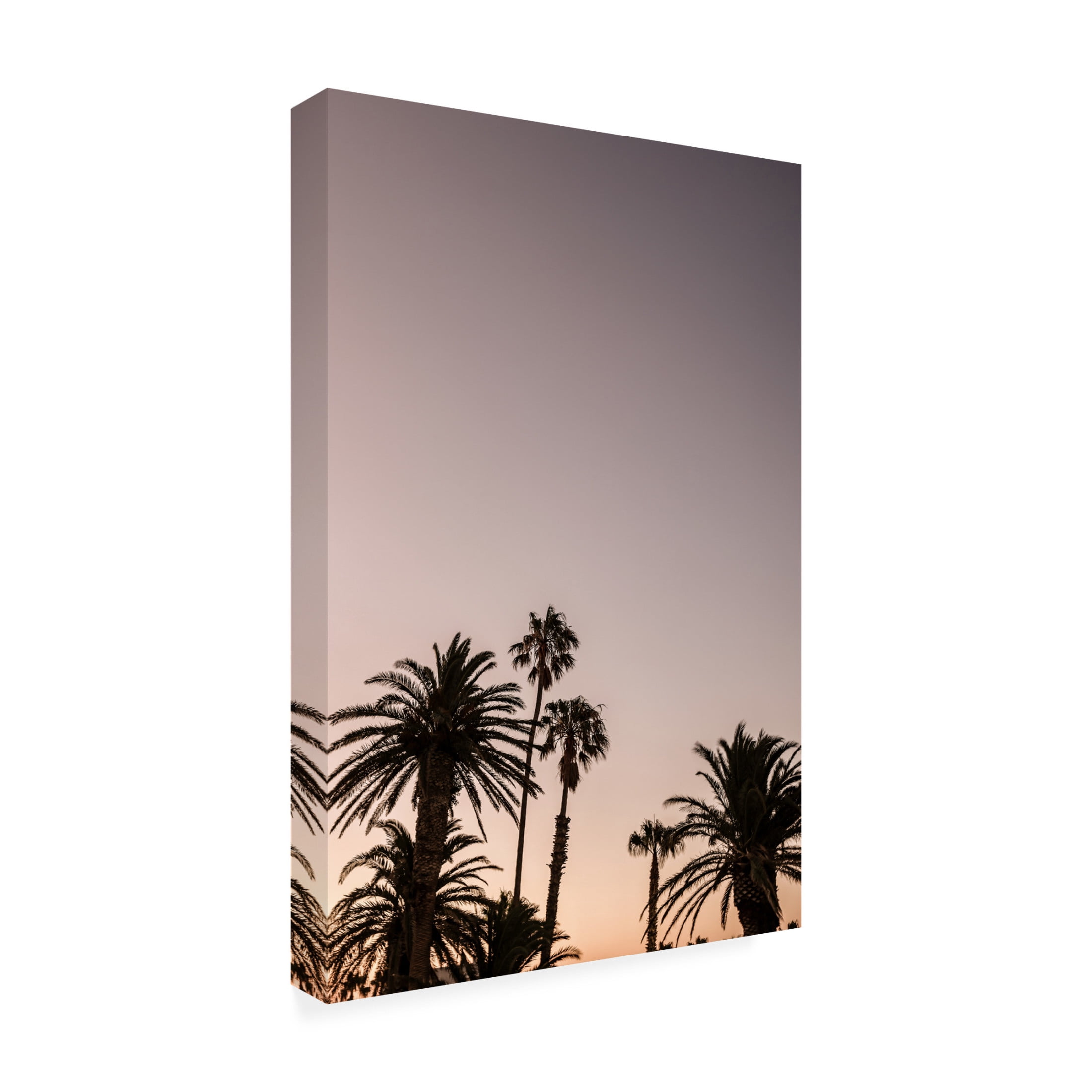 Trademark Fine Art Shot by Clint Palm Point Canvas Wall Art