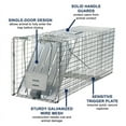 thumbnail image 3 of Woodstream 1079PR Live Animal Cage Trap With Bonus Small Trap, 3 of 4