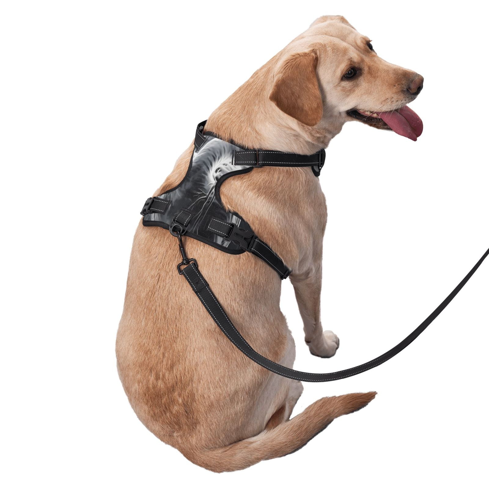 Vsdgher Heart Illustration Dog Harness, No-Pull Pet Harness, Dog Vest, Pet Vest for Small to Large Dogs-Small