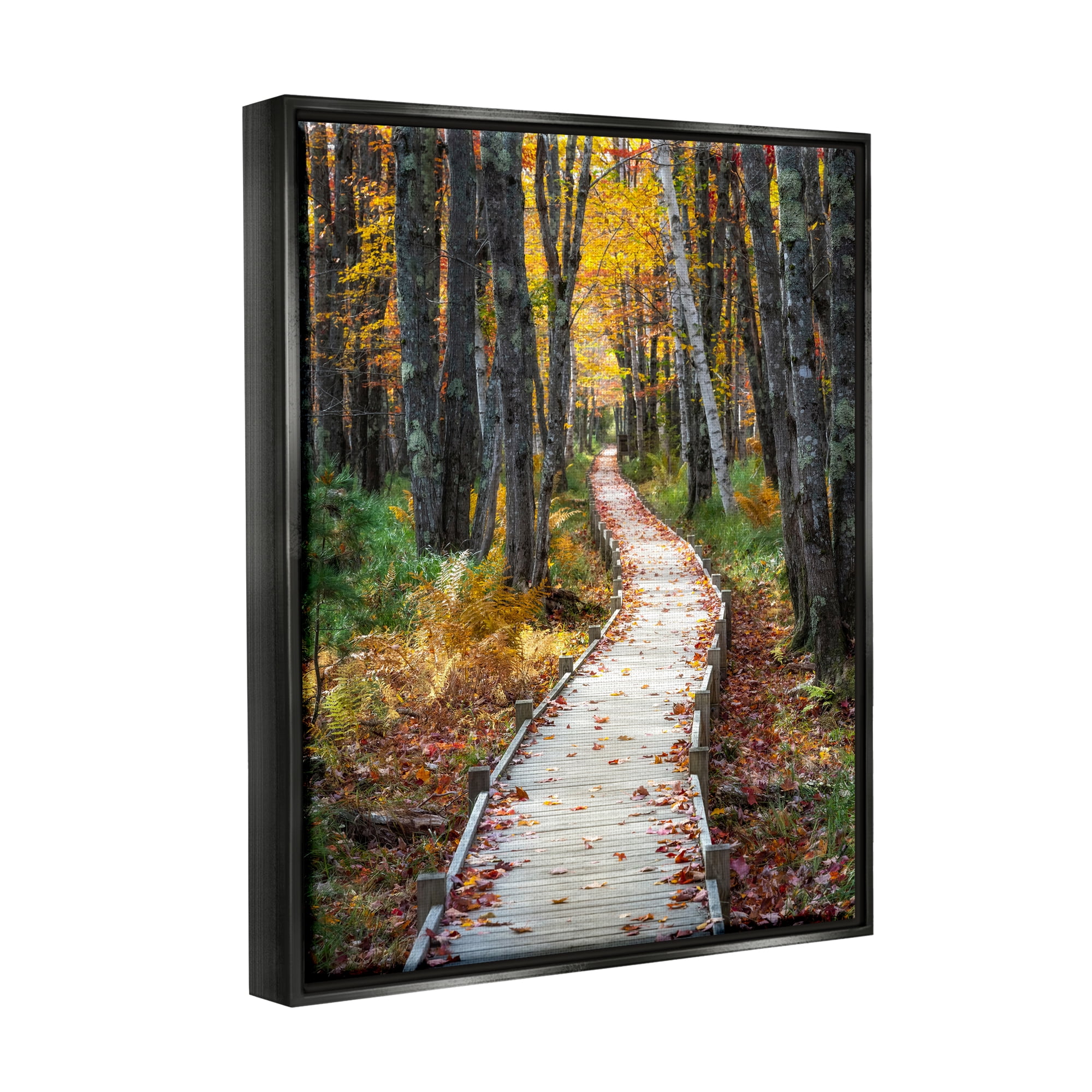 Stupell Industries Nature Path Autumn Foliage Landscape Photography Black Floater Framed Art Print Wall Art